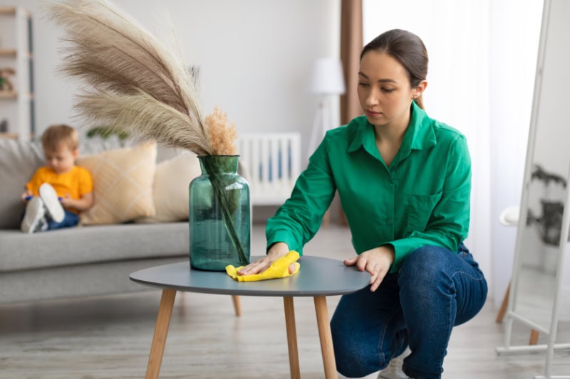 How to Reduce Dust in Your Albany, Home